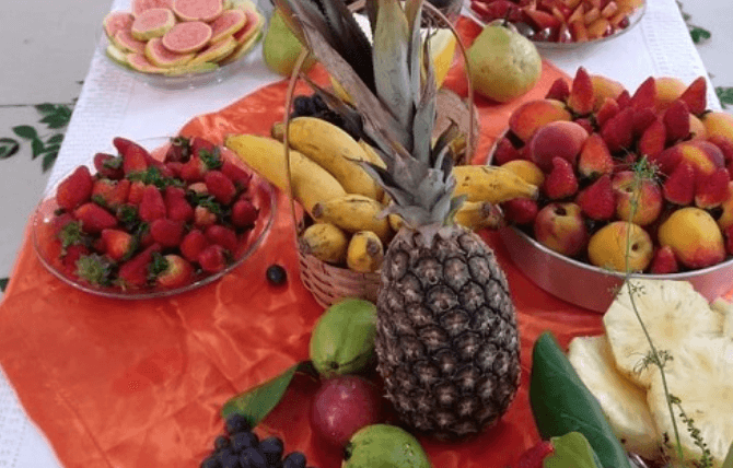 Agricultura familiar abastece merenda escolar e fortalece economia local em Palhoça