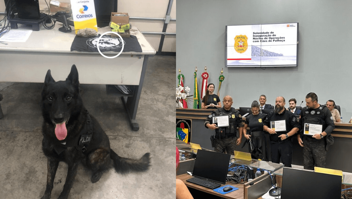 PCSC inaugura núcleo de cães em Palhoça e se despede do K9 Smith após mais de 250 operações - Visor Notícias
